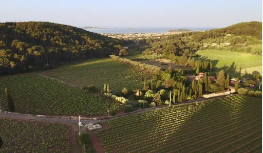 Domaine de Terrebrune
