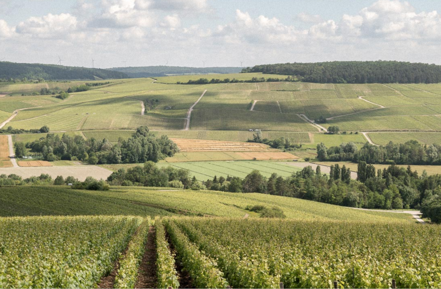 Château Vaucelle