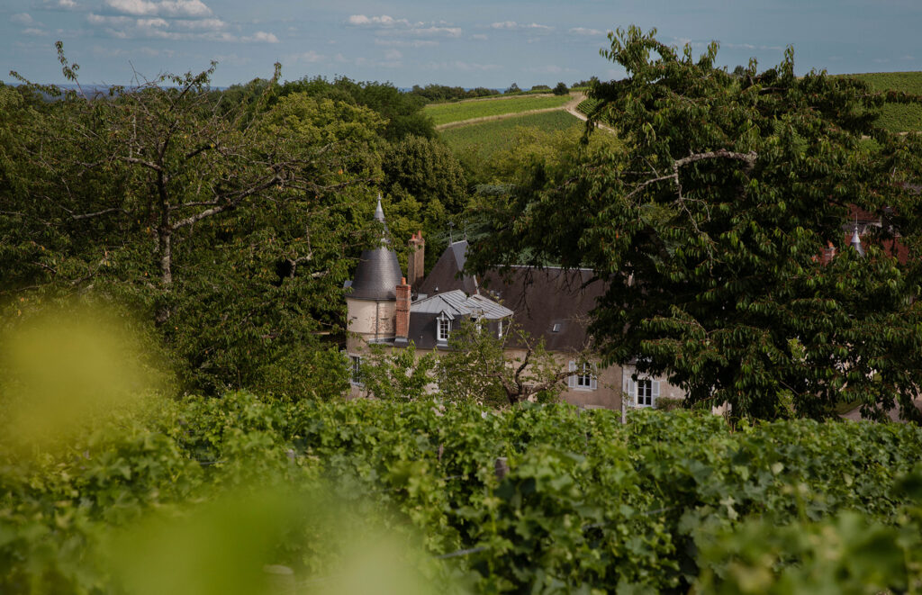 Château de Lestang