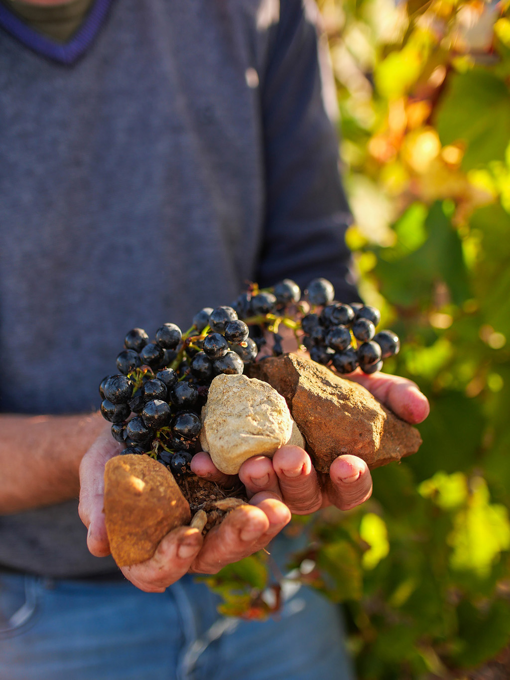 Clos de Triguedina