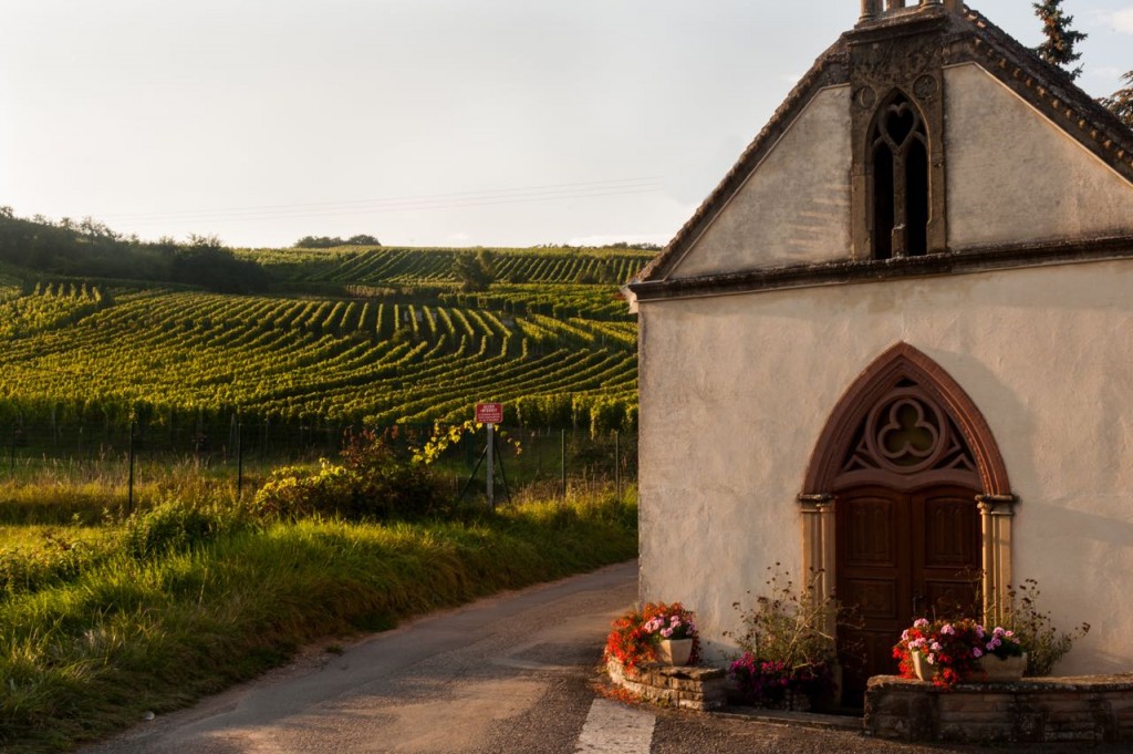 Domaine de Zusslin