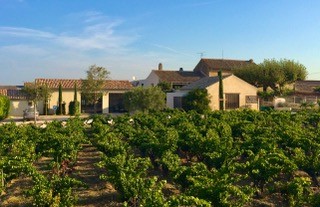 Domaine de la Vieille Julienne - 2