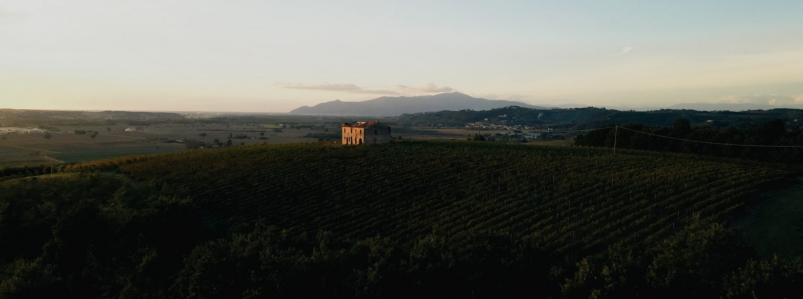 Tenuta di Montefoscolli