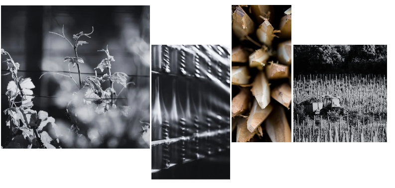 photos-montage-1
