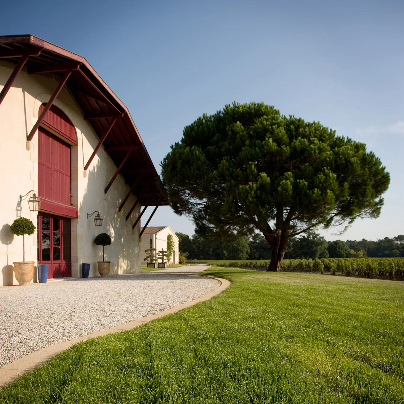 domaine chevalier photos