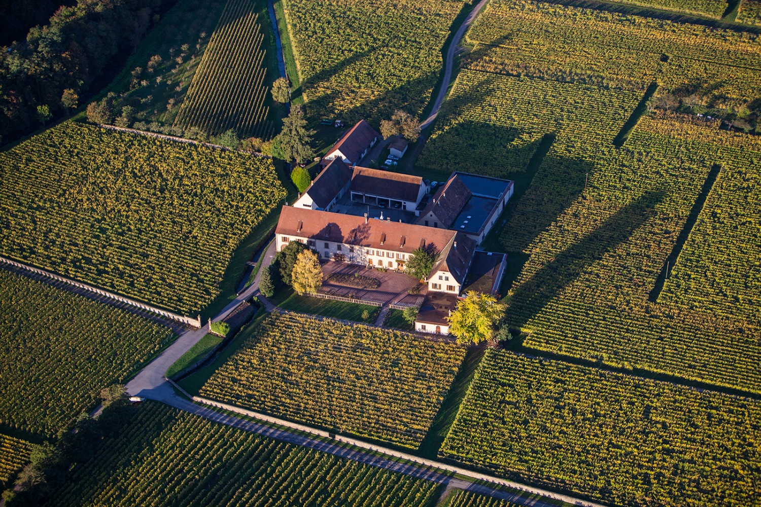 domaine weinbach